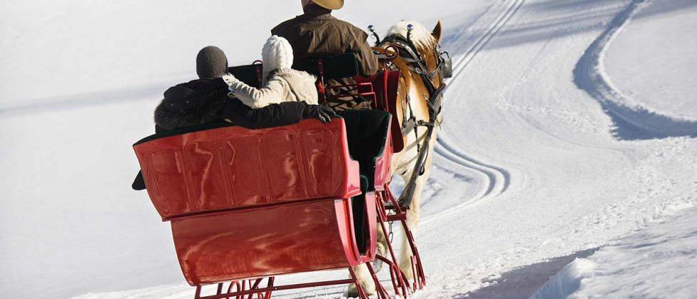 Horse drawn sleigh on a snowy road