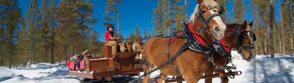 People on a sleigh ride in Colorado